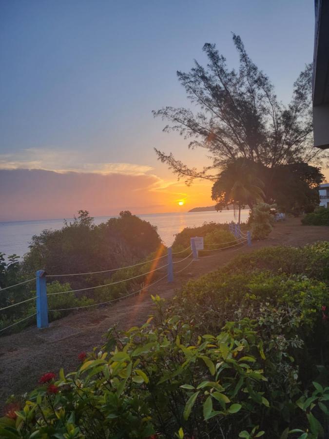 Munzels Boho Beach Retreat Apartment Ocho Rios Luaran gambar